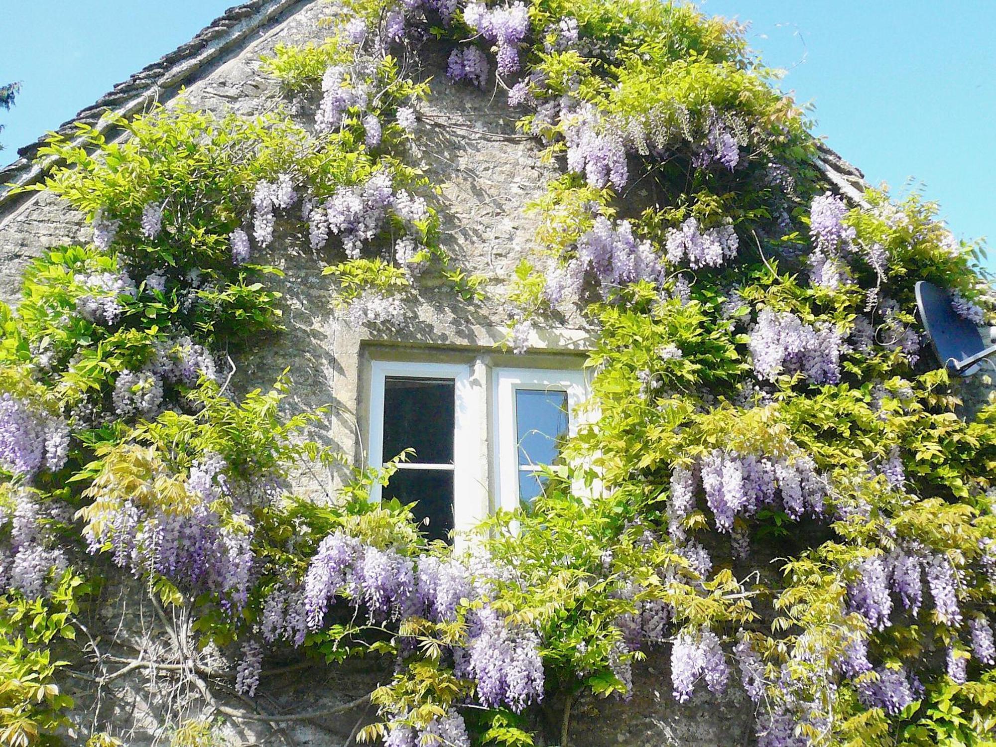 Ivy Cottage Chedworth Exteriér fotografie